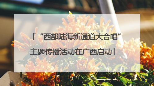 “西部陆海新通道大合唱”主题传播活动在广西启动