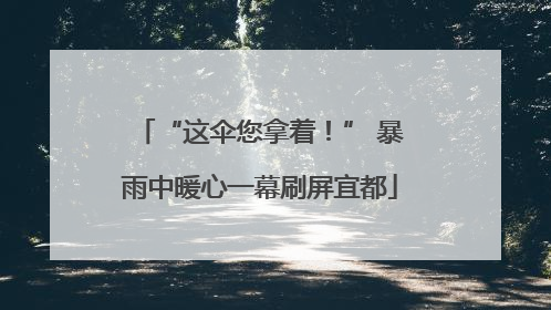 “这伞您拿着！” 暴雨中暖心一幕刷屏宜都