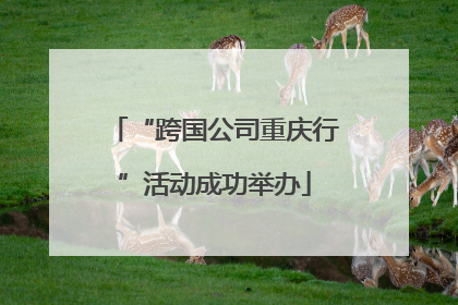 “跨国公司重庆行”活动成功举办