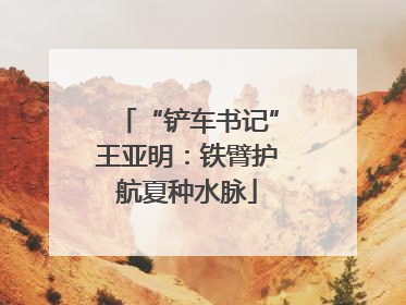 “铲车书记”王亚明：铁臂护航夏种水脉