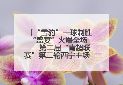 “雪豹”一球制胜 “盛宴”火爆全场——第二届“青超联赛”第二轮西宁主场比赛见闻