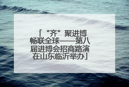 “齐”聚进博 畅联全球——第八届进博会招商路演在山东临沂举办