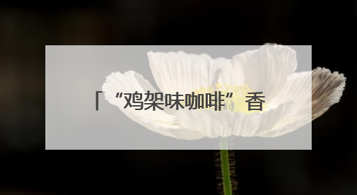 “鸡架味咖啡”香飘“西红市”——沈阳市集解锁“地域限定”消费新场景