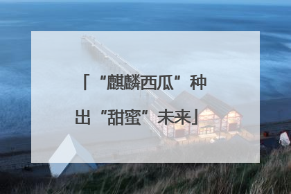 “麒麟西瓜”种出“甜蜜”未来