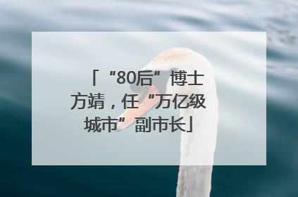 “80后”博士方靖，任“万亿级城市”副市长
