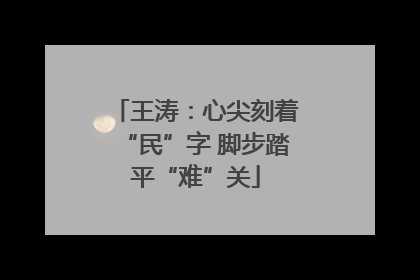 王涛：心尖刻着“民”字 脚步踏平“难”关
