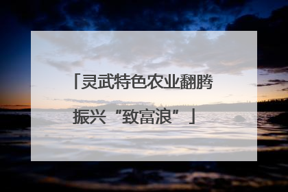 灵武特色农业翻腾振兴“致富浪”