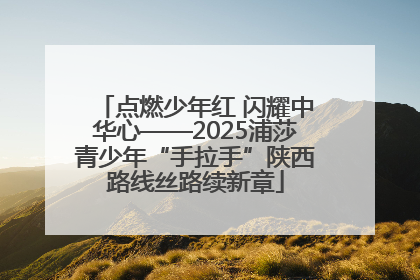点燃少年红 闪耀中华心——2025浦莎青少年“手拉手”陕西路线丝路续新章