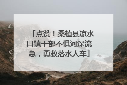 点赞！桑植县凉水口镇干部不惧河深流急，勇救落水人车
