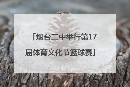 烟台三中举行第17届体育文化节篮球赛