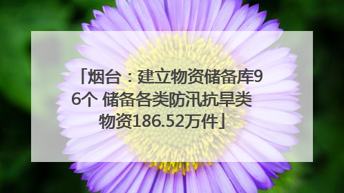 烟台：建立物资储备库96个 储备各类防汛抗旱类物资186.52万件