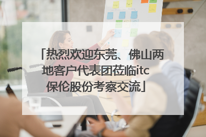 热烈欢迎东莞、佛山两地客户代表团莅临itc保伦股份考察交流