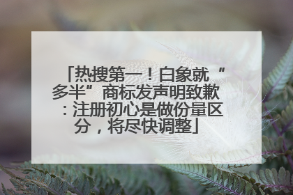热搜第一！白象就“多半”商标发声明致歉：注册初心是做份量区分，将尽快调整