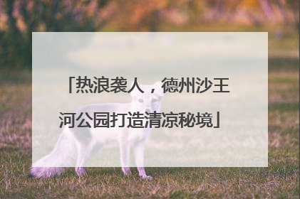 热浪袭人，德州沙王河公园打造清凉秘境