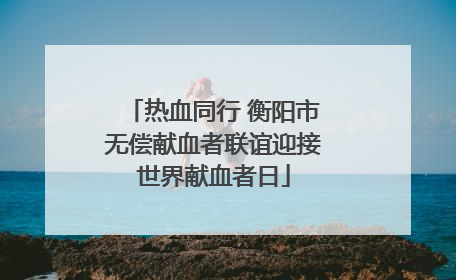 热血同行 衡阳市无偿献血者联谊迎接世界献血者日