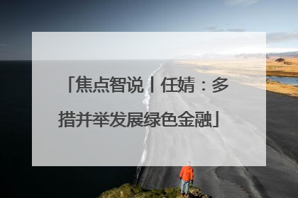 焦点智说丨任婧：多措并举发展绿色金融
