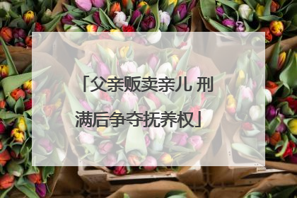 父亲贩卖亲儿 刑满后争夺抚养权