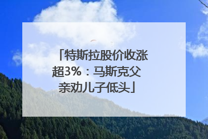 特斯拉股价收涨超3%：马斯克父亲劝儿子低头