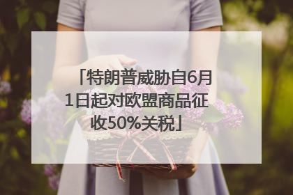 特朗普威胁自6月1日起对欧盟商品征收50%关税