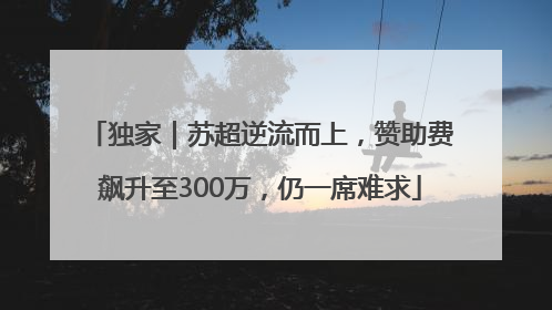 独家｜苏超逆流而上，赞助费飙升至300万，仍一席难求