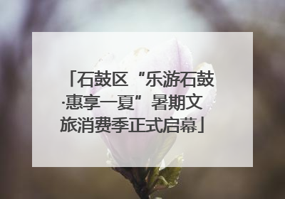 石鼓区“乐游石鼓·惠享一夏”暑期文旅消费季正式启幕