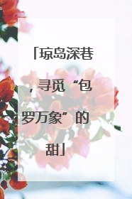 琼岛深巷，寻觅“包罗万象”的甜