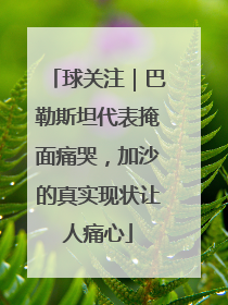 球关注｜巴勒斯坦代表掩面痛哭，加沙的真实现状让人痛心
