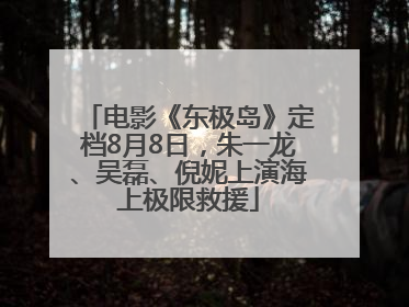 电影《东极岛》定档8月8日，朱一龙、吴磊、倪妮上演海上极限救援