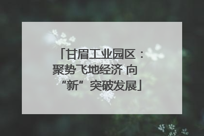 甘眉工业园区：聚势飞地经济 向“新”突破发展
