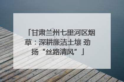 甘肃兰州七里河区烟草：深耕廉洁土壤 劲扬“丝路清风”