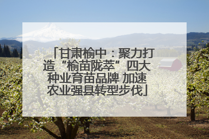 甘肃榆中：聚力打造“榆苗陇萃”四大种业育苗品牌 加速农业强县转型步伐