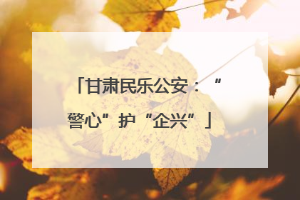 甘肃民乐公安：“警心”护“企兴”