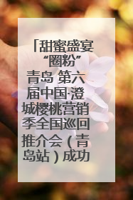 甜蜜盛宴 “圈粉”青岛 第六届中国·澄城樱桃营销季全国巡回推介会（青岛站）成功举办