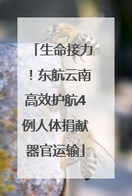 生命接力！东航云南高效护航4例人体捐献器官运输