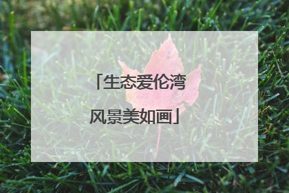 生态爱伦湾 风景美如画