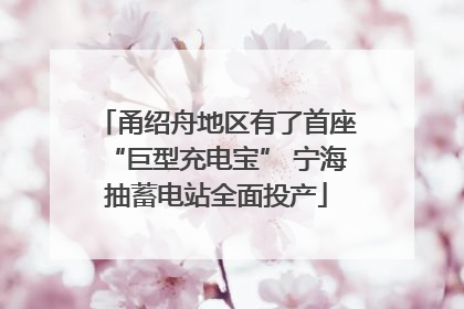 甬绍舟地区有了首座“巨型充电宝” 宁海抽蓄电站全面投产