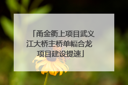 甬金衢上项目武义江大桥主桥单幅合龙 项目建设提速