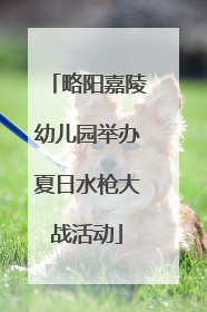 略阳嘉陵幼儿园举办夏日水枪大战活动