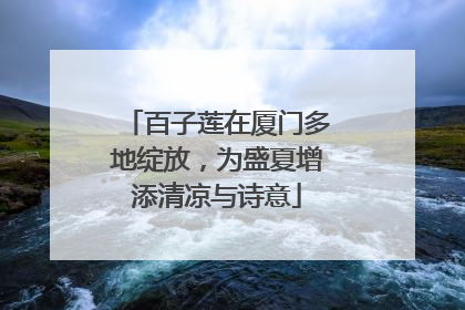 百子莲在厦门多地绽放，为盛夏增添清凉与诗意