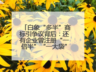 白象“多半”商标引争议背后：还有企业曾注册“一倍半”“一大袋”“1桶半”