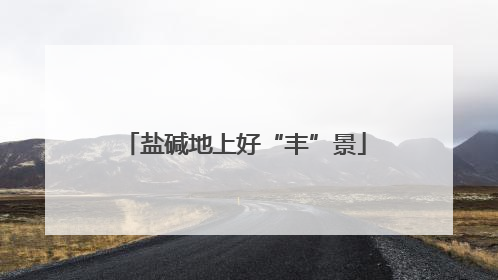 盐碱地上好“丰”景