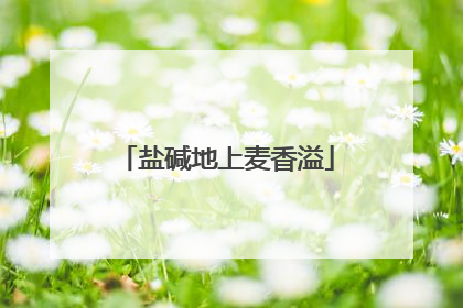 盐碱地上麦香溢