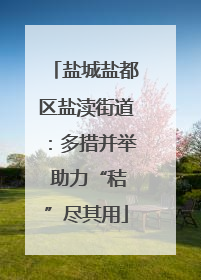 盐城盐都区盐渎街道：多措并举 助力“秸”尽其用