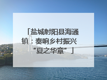 盐城射阳县海通镇：奏响乡村振兴“夏之华章”