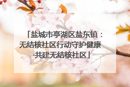 盐城市亭湖区盐东镇：无结核社区行动守护健康 ·共建无结核社区