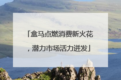盒马点燃消费新火花，潜力市场活力迸发