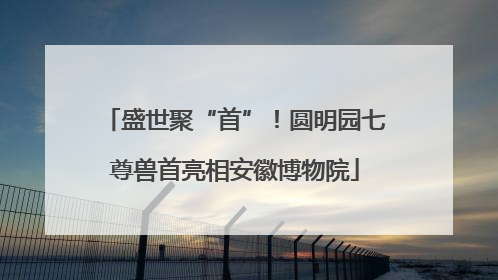 盛世聚“首”！圆明园七尊兽首亮相安徽博物院