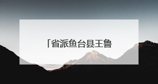 省派鱼台县王鲁镇第一书记护航“三夏”生产