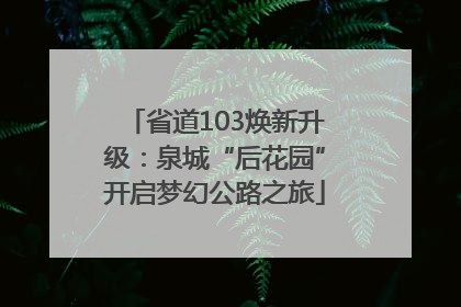 省道103焕新升级：泉城“后花园”开启梦幻公路之旅