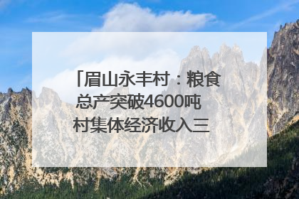 眉山永丰村：粮食总产突破4600吨 村集体经济收入三年倍增｜牵挂的村